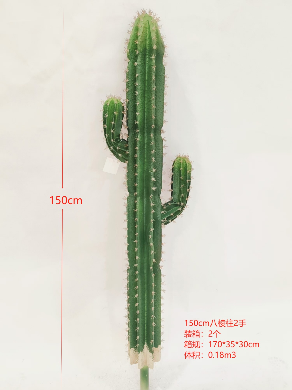 XJXR20241104-73