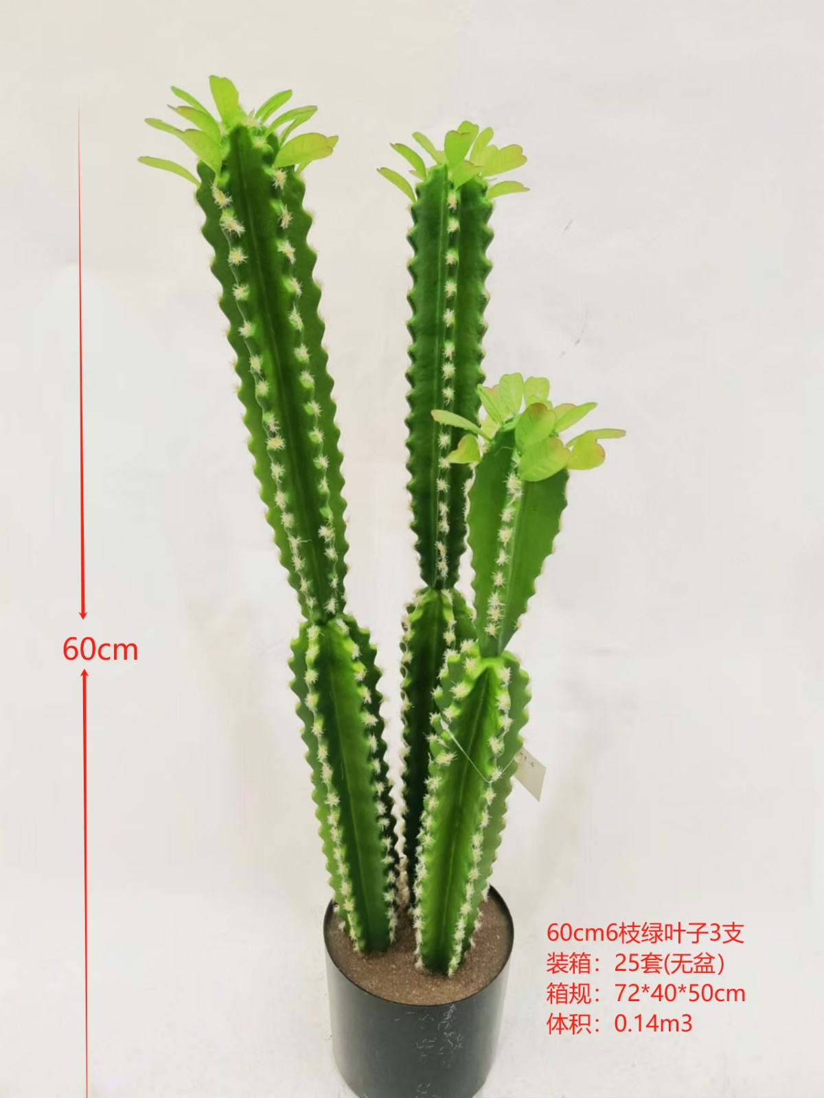 XJXR20241104-59