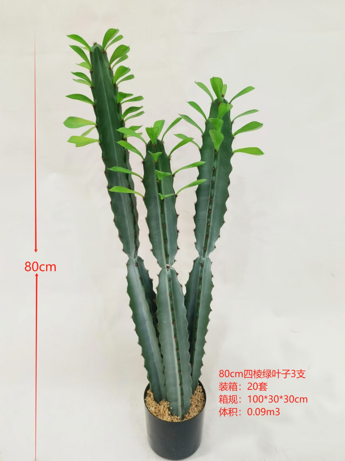 XJXR20241104-56
