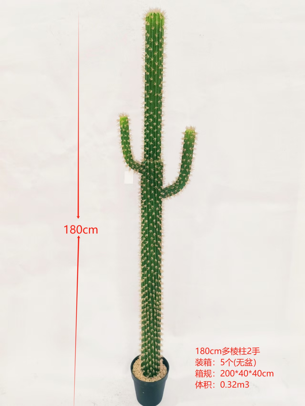 XJXR20241104-53