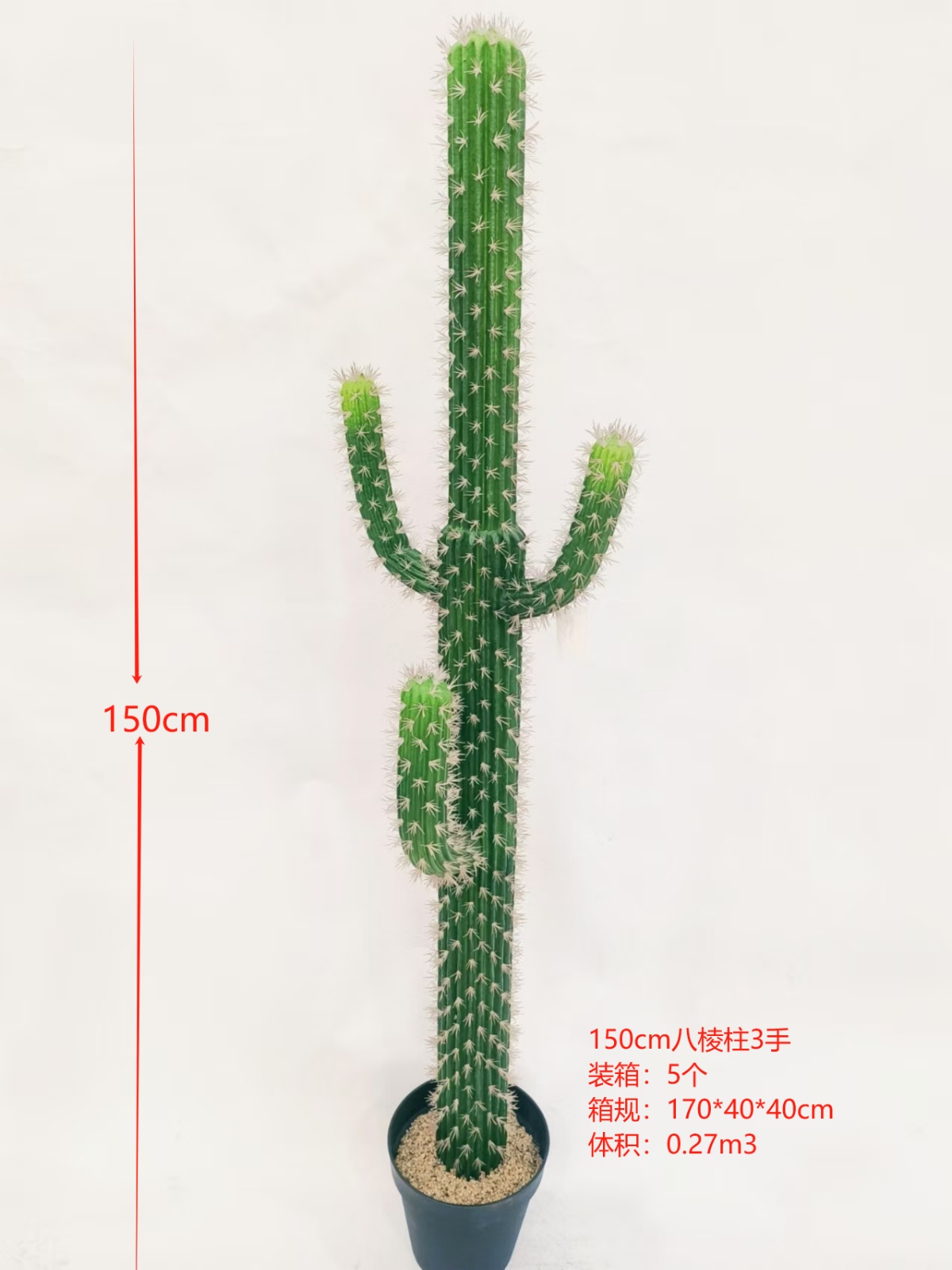 XJXR20241104-47