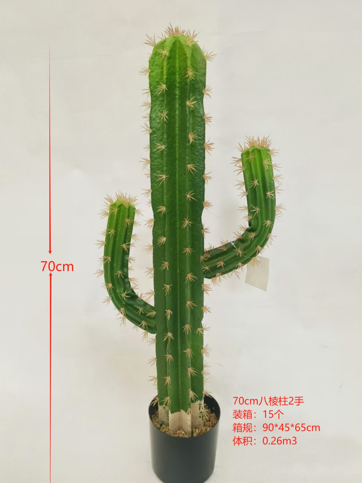 XJXR20241104-42