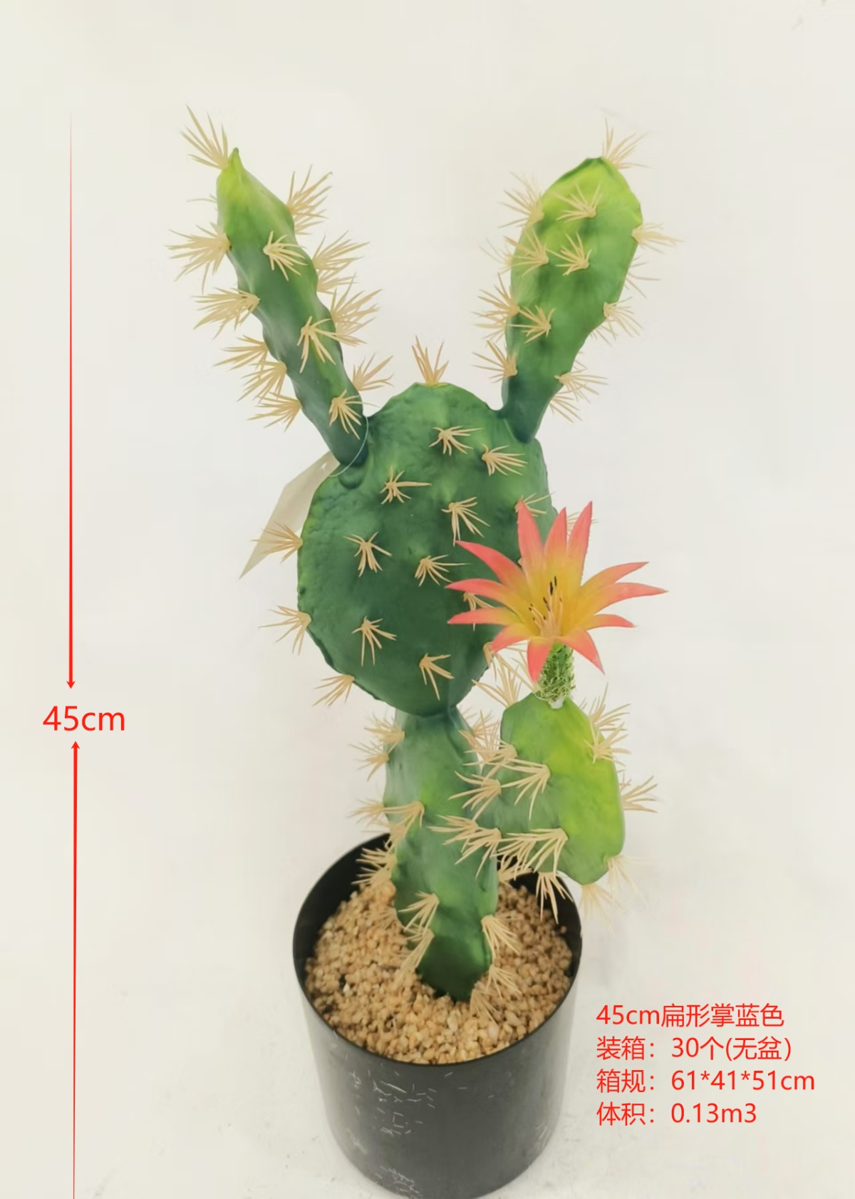 XJXR20241104-28-23
