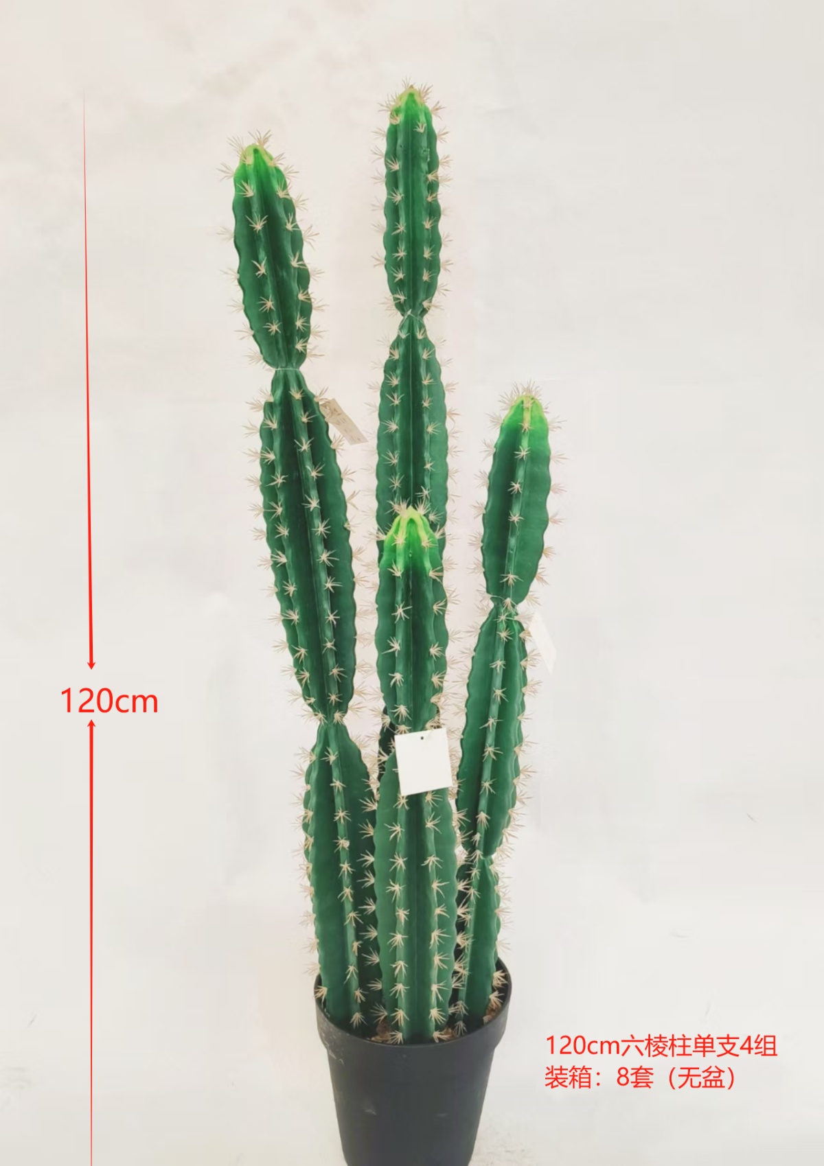 XJXR20241104-15