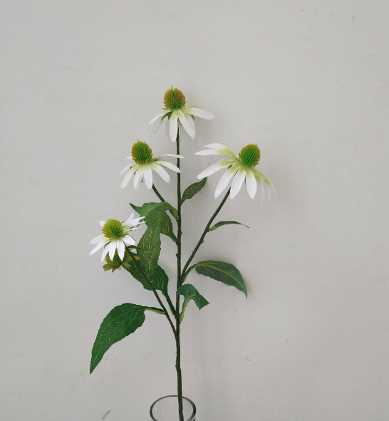 5-Head Pine Cone Flower, White.