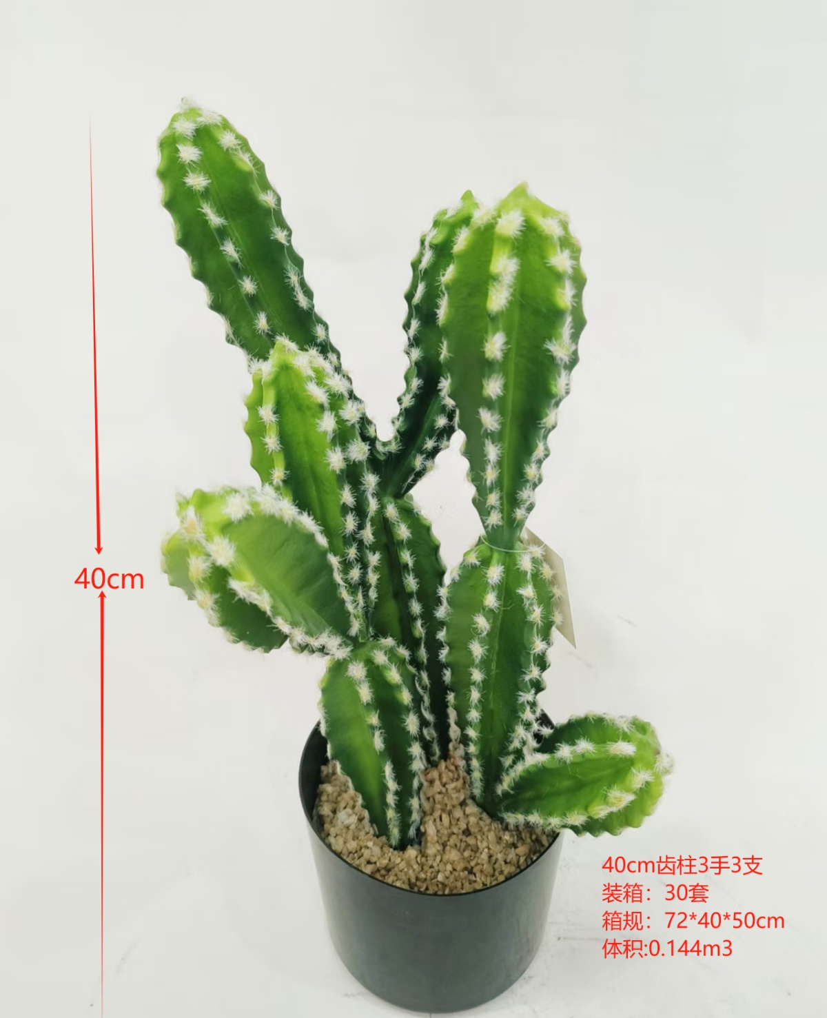 XJXR20241104-7
