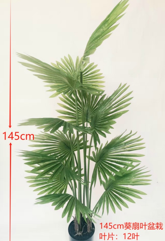 XJLD2500425-145