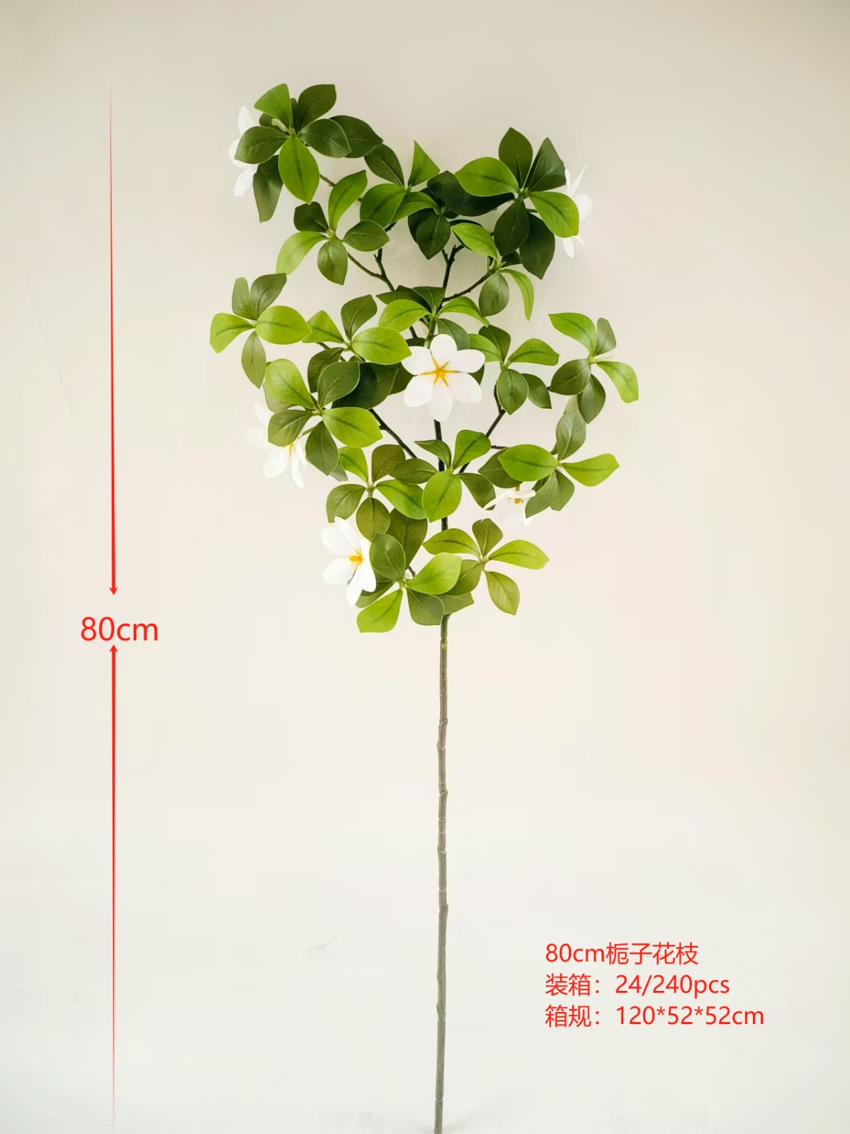 XJJHP20250106-1