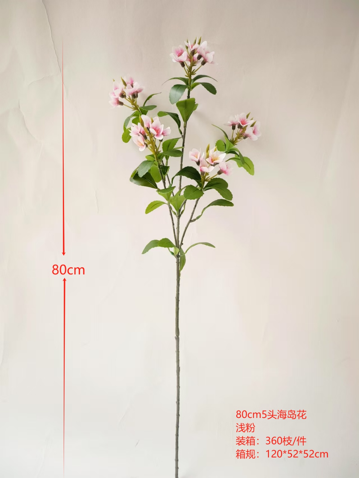 XJJHP20250104-4