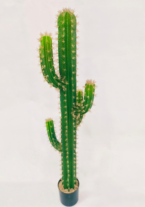 XJXR20241104-150