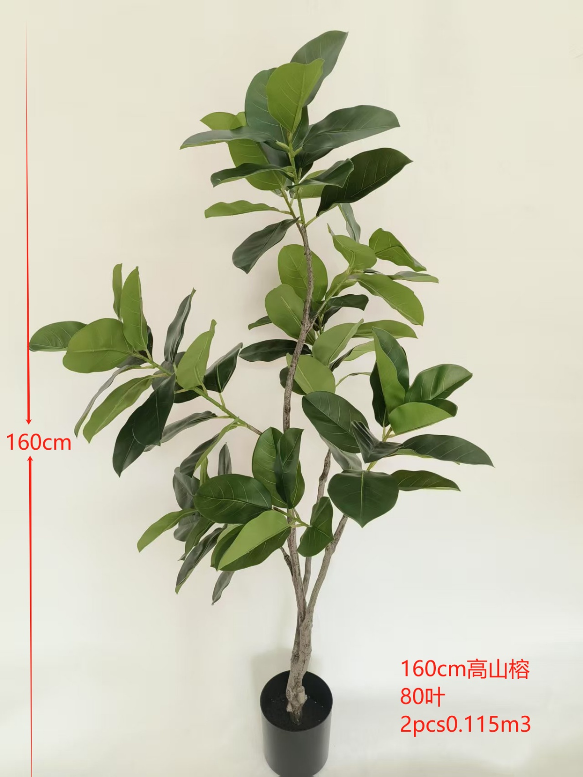 XJYS0612-160