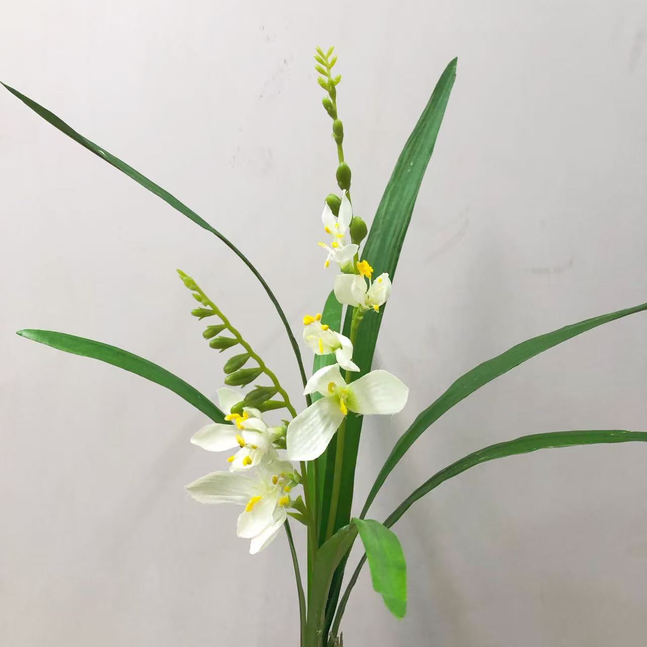 Gardenia Bundle, White.