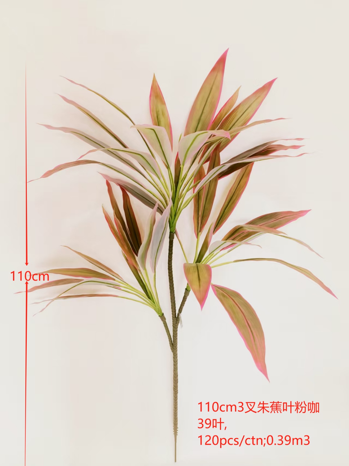 XJQH20250313-5