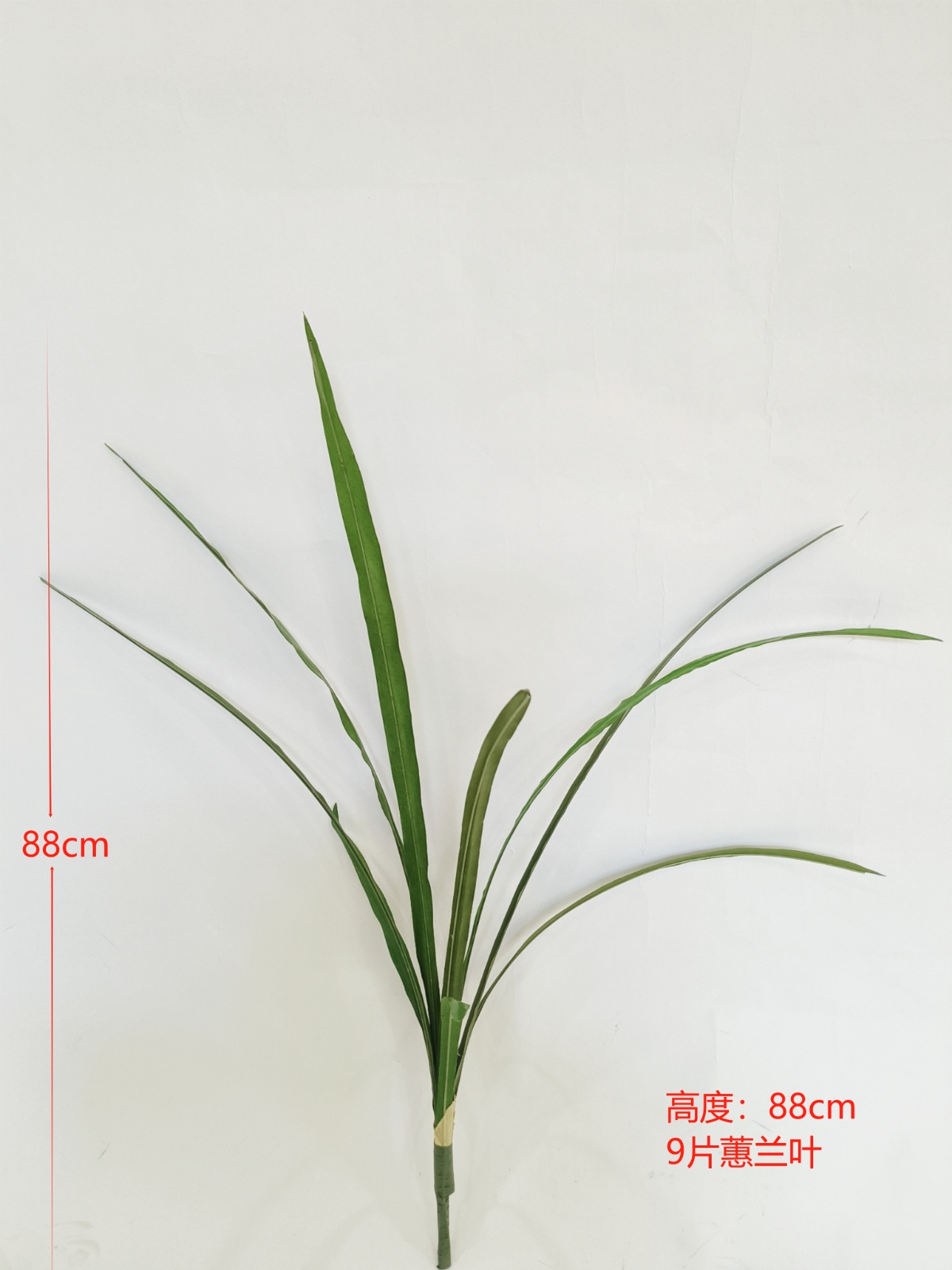 34" Nine-Leaf Large Huilan Leaf