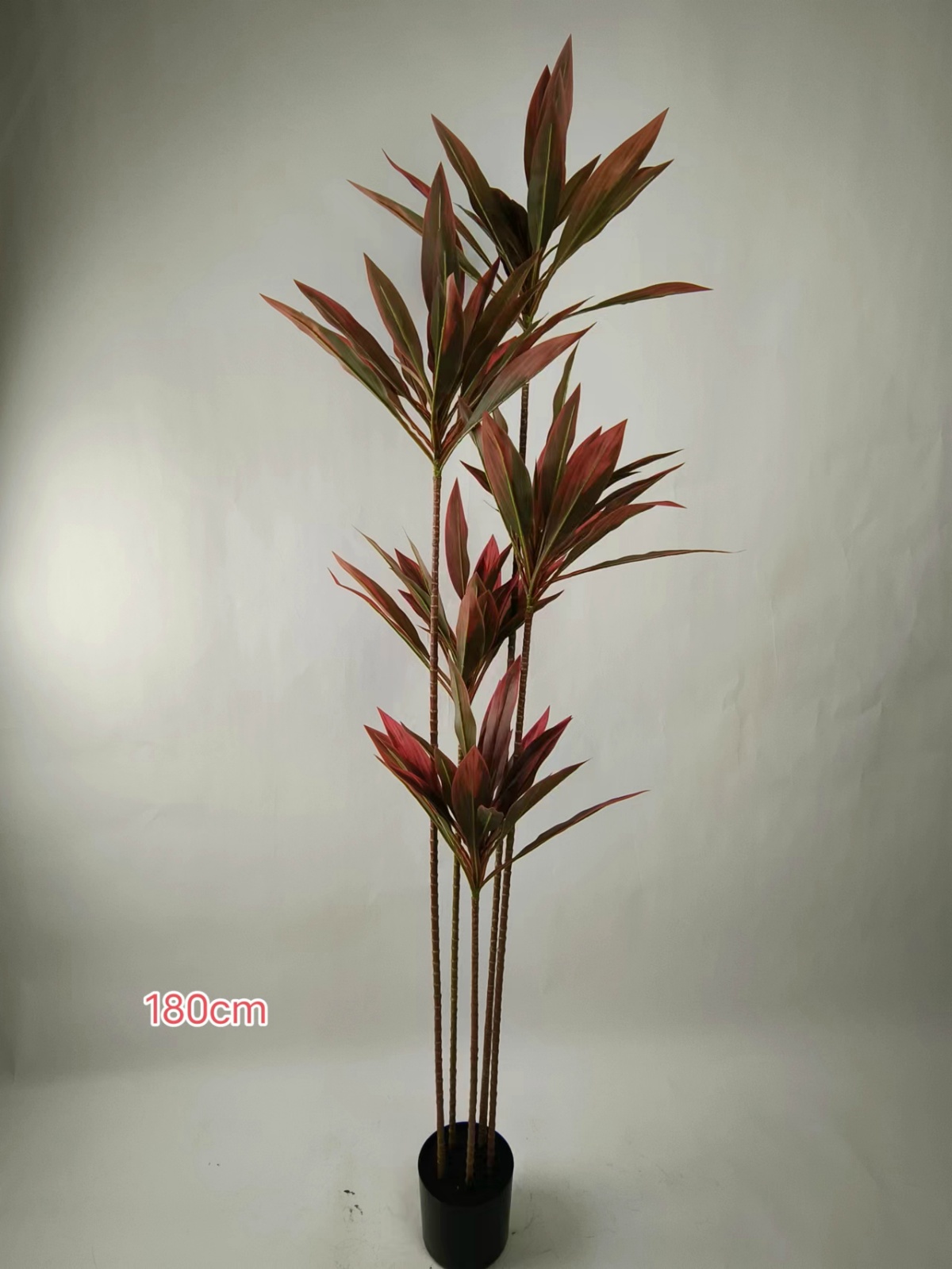 XJHF202303-6