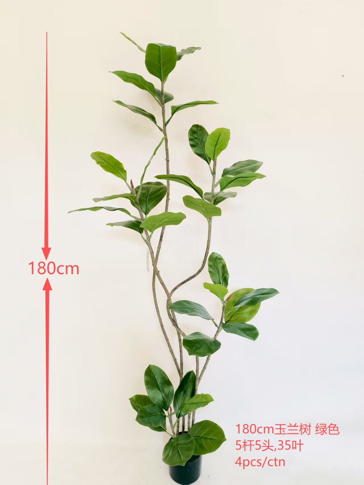 180cm Magnolia Tree, 5 Stems, 5-Head, Green.