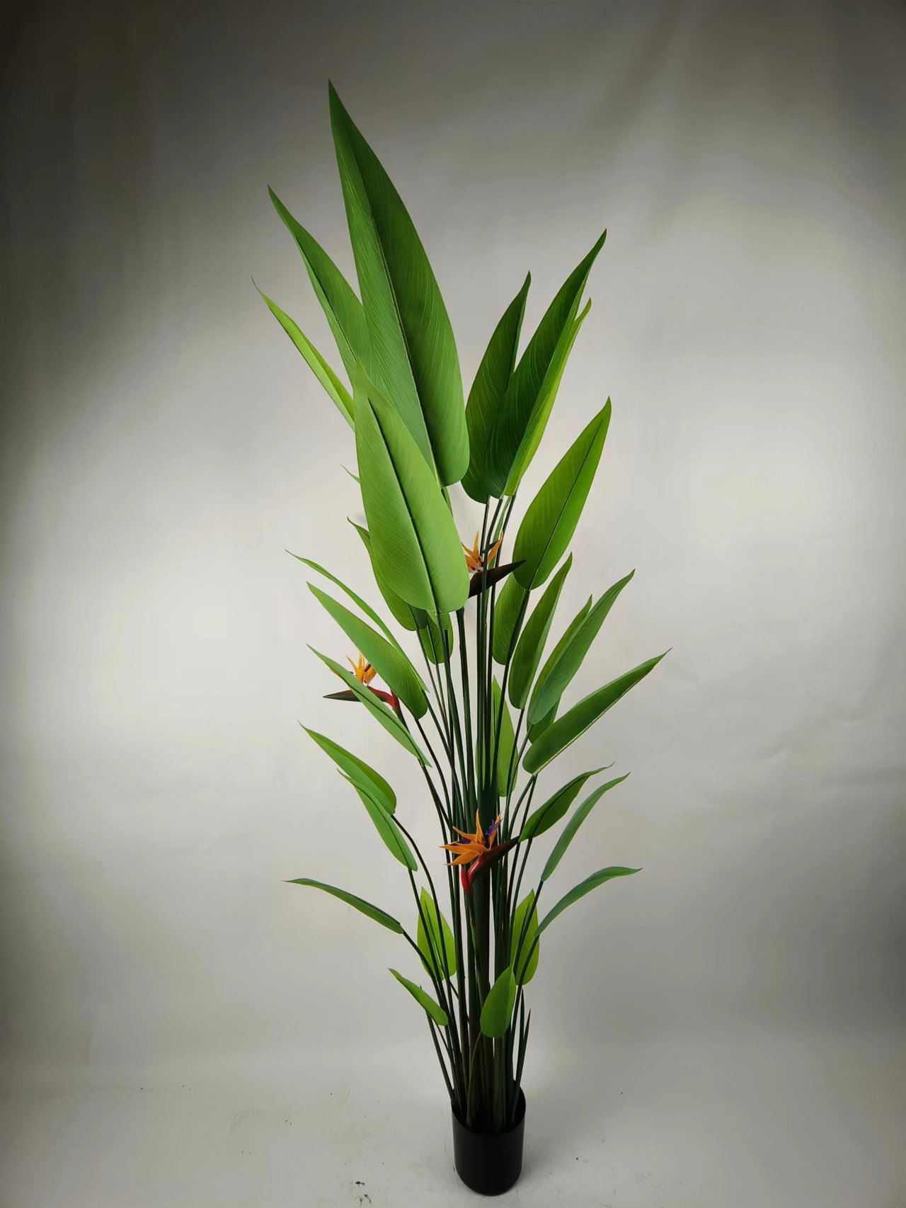 XJYN20231101-5