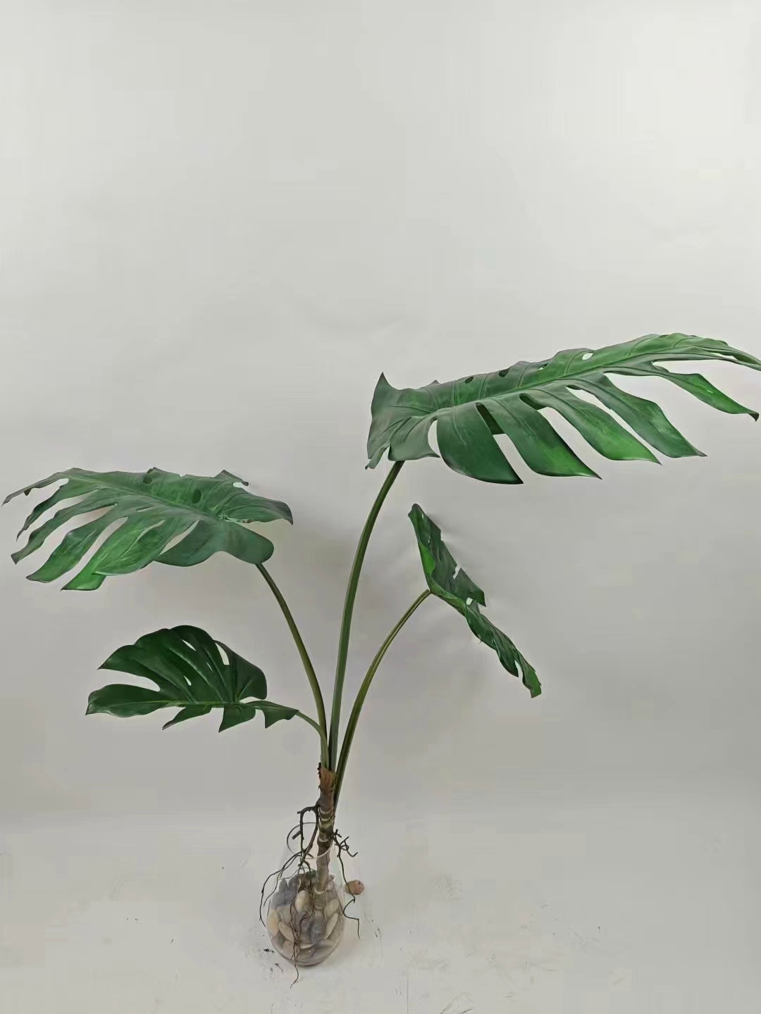4-Leaf Monstera Bundle, 63