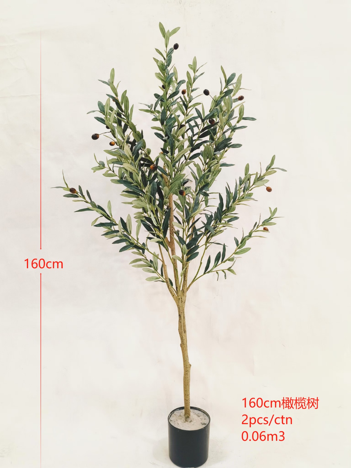 Olive Tree 160cm
