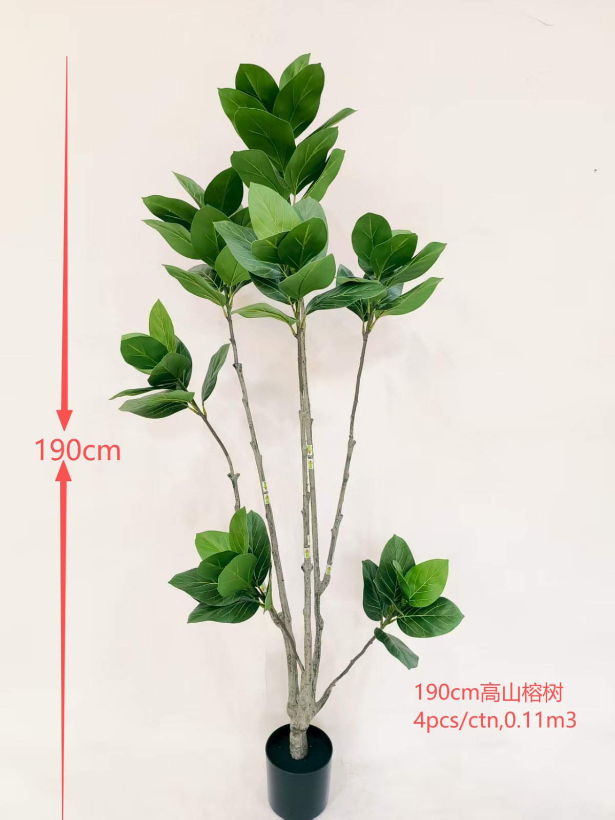 XJJT0801-180