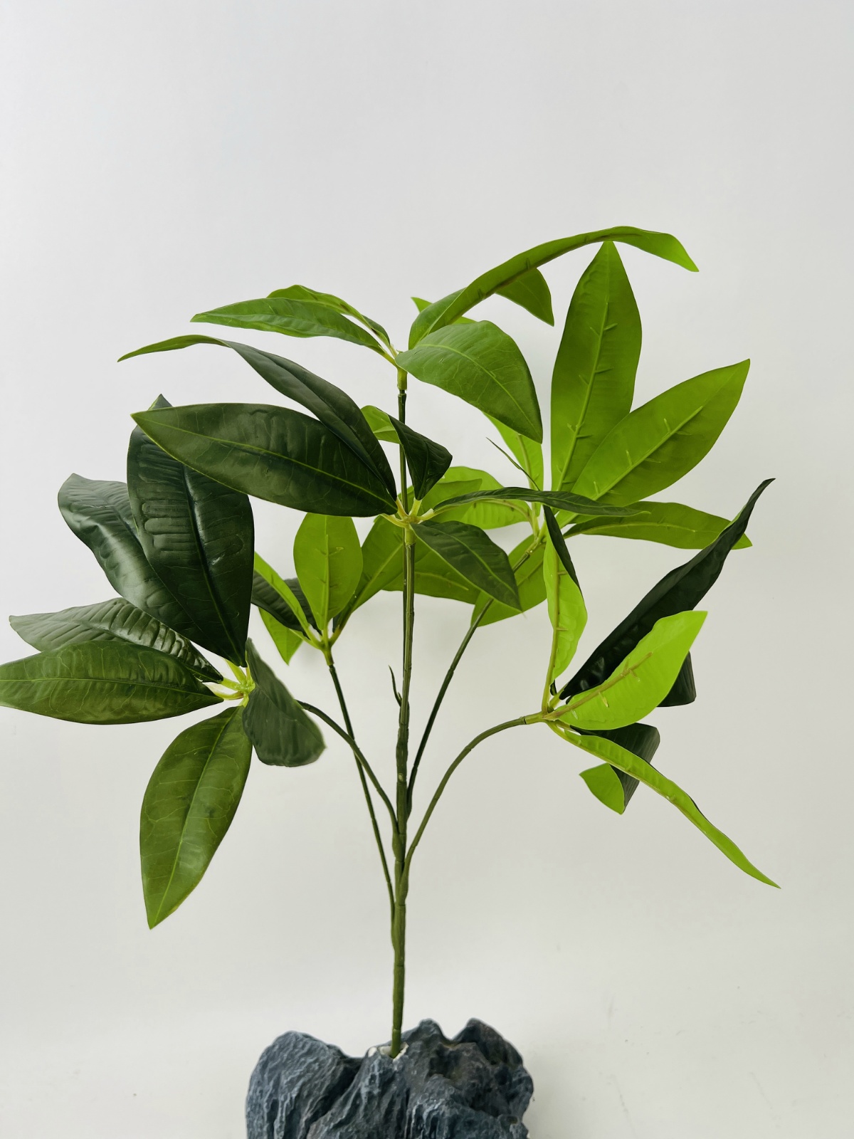xjab023078