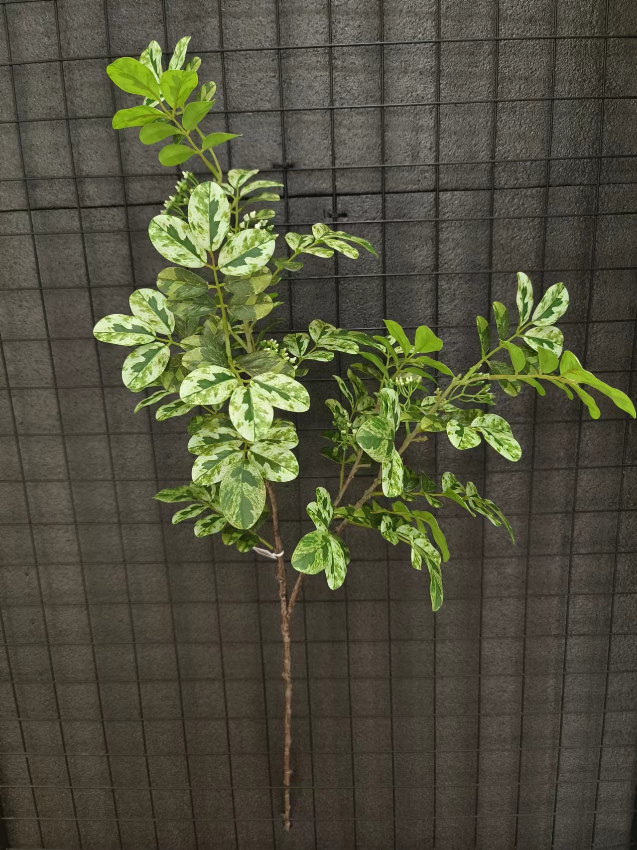 XJHJ10011-2