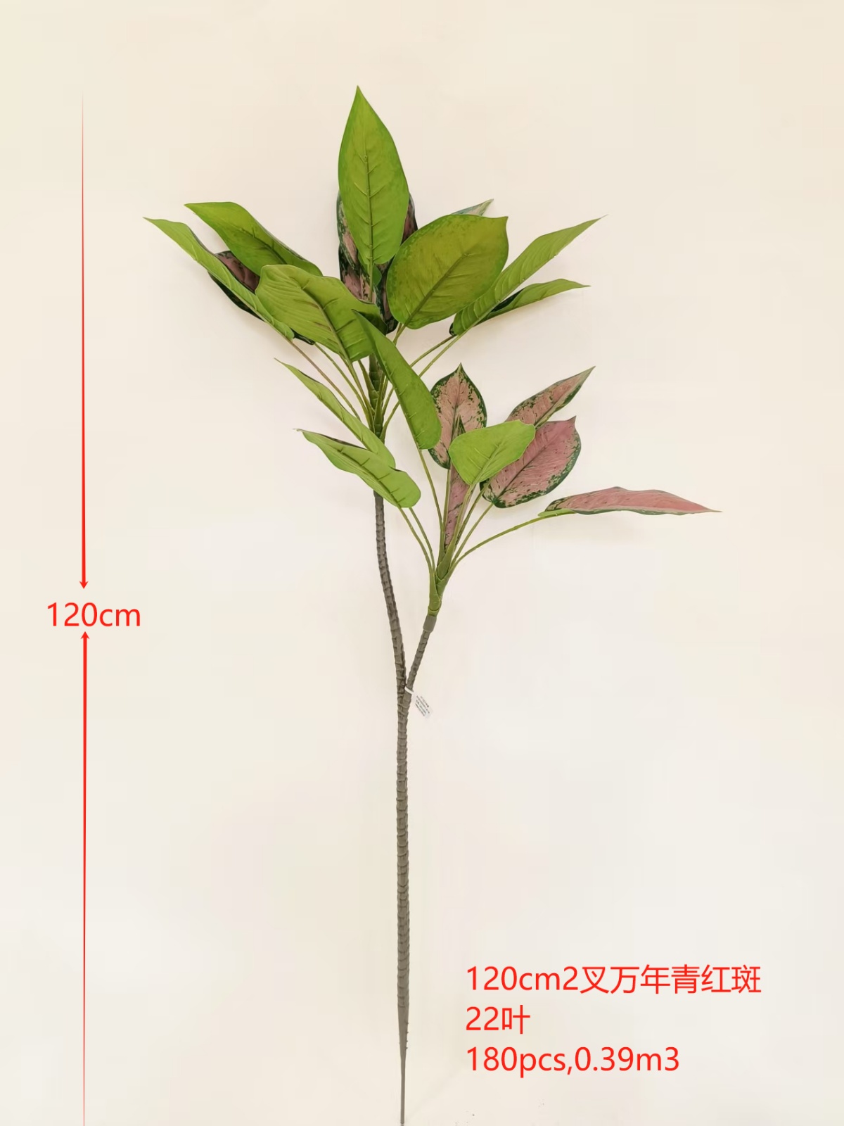 XJQH20250317-4