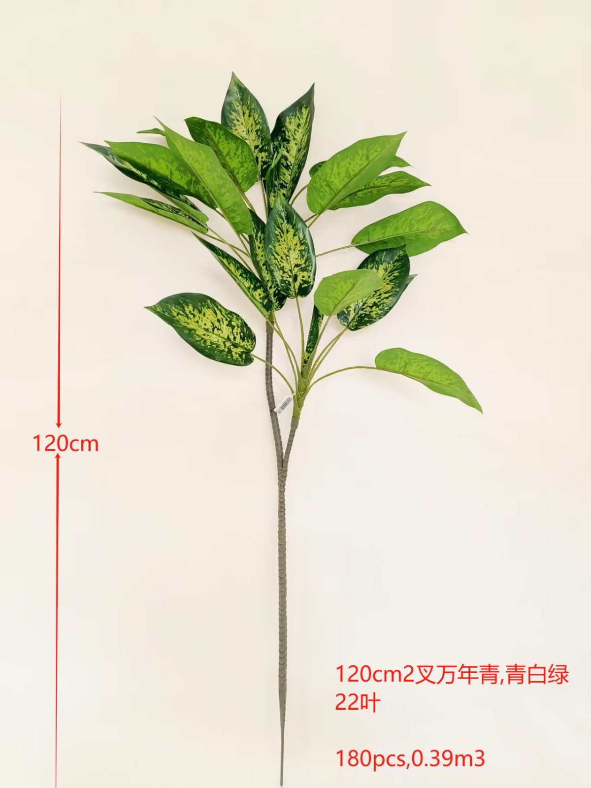 XJQH20250317-3