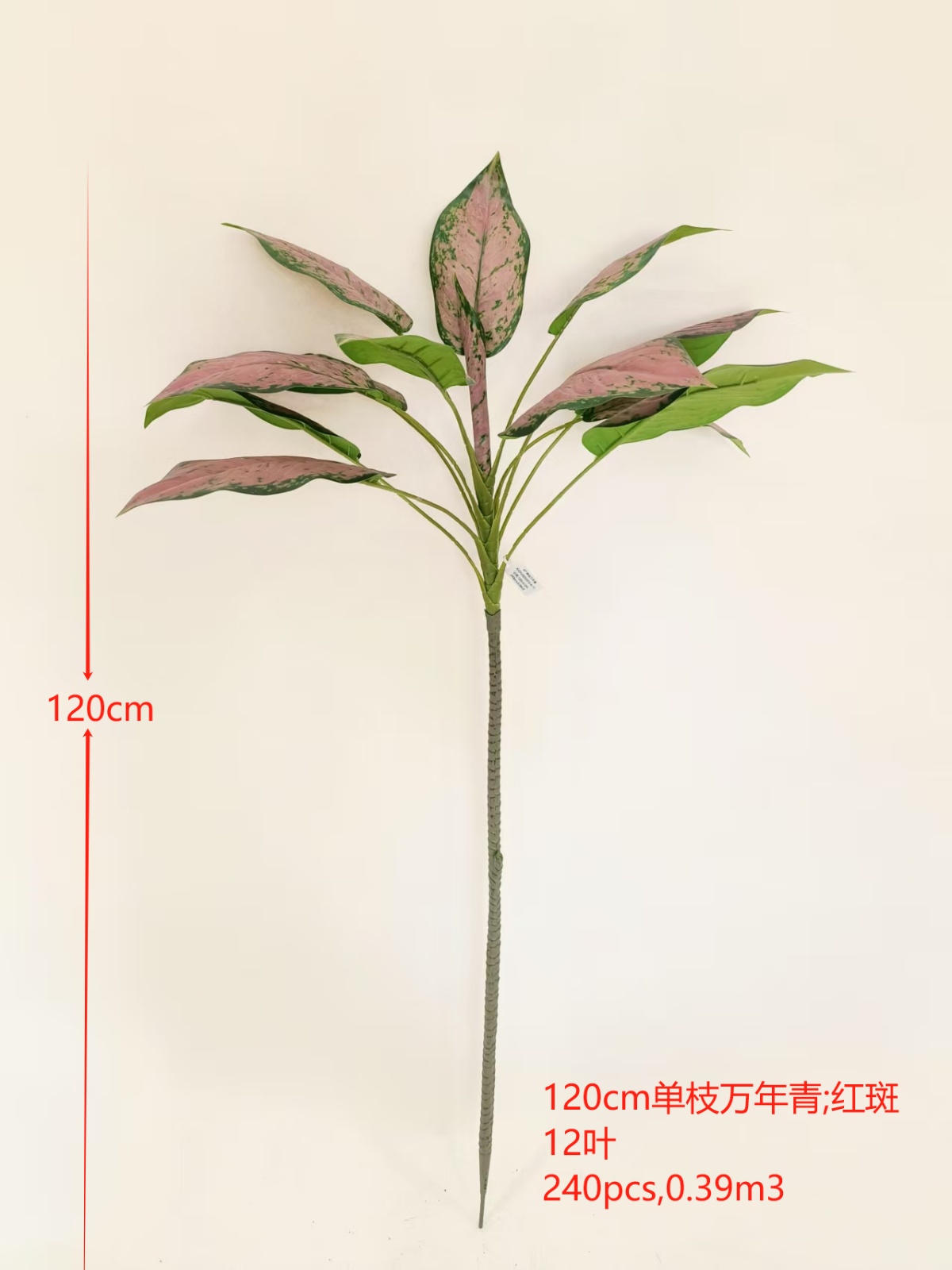 XJQH20250316-4
