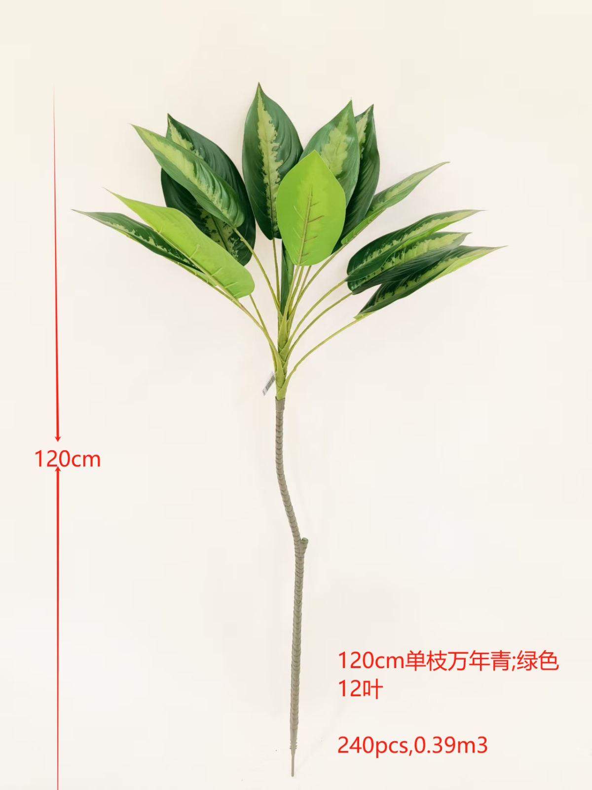 XJQH20250316-1