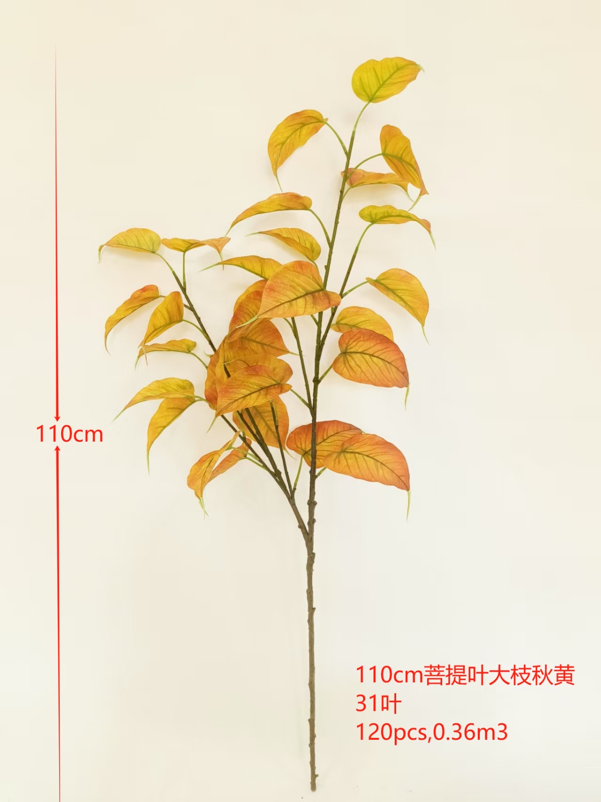 XJQH20250323-2